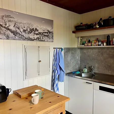 Haldematt Appartement-fewo- Bad- Wc- 3 Schlafraeume 4-zimmerwohnung By Interhome Adelboden